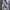 Jaket Parasut Brand ZARA MAN Original photo 1