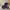 Dr. Martens Boot Deep Purple Size 6/US, 37/Euro