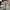 Vintage Grey Pleated Pants photo 5