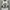 singlet lekbong sleeveless nike second original  photo 2