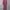 Muslim Wanita pink photo 5