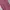 Muslim Wanita pink photo 3