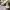 Casual Sneakers Pria cream photo 1