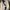 Casual Sneakers Pria cream photo 4
