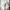 Gio Cardin - Sneakers Pria Wanita Zeus Triple White