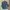 Vintage Flanel Veterano Cambridge Classic Mervyns photo 3
