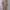 Fairy Casual Midi Dress Wanita Multicolor White