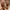 Timberland Streetwear Boots Pria yellow photo 5