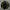 Windbreakers Vintage Jacket Lootto photo 1