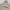 Mark Gonzales Gorpcore Casual Parka Pria cream tan photo 6
