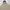 Mark Gonzales Gorpcore Casual Parka Pria cream tan photo 5