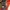 Montbell Gorpcore Sportswear Track jacket Pria red photo 4