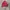 Tracktop puma photo 1