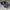 Secound Sneakers Basket Nike Giannis Immortality photo 1