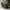 Guess Streetwear Y2K Shoulder bag Wanita white gray photo 5