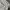 Guess Streetwear Y2K Shoulder bag Wanita white gray photo 7