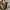 CELINE Handbag Wanita brown photo 1