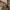 MCM Shoulder bag Wanita tan photo 5