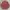 Burberry Vintage Formal Shirt Pria Red