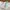 Adidas Casual Sneakers Wanita green photo 2