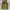 Burton Y2K Sportswear Jersey Pria green photo 1