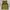 Burton Y2K Sportswear Jersey Pria Green