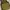 Burton Y2K Sportswear Jersey Pria green photo 4