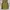 Burton Y2K Sportswear Jersey Pria green photo 2