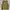 Burton Y2K Sportswear Jersey Pria Green