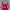 NBA JERSEY BASKET BALL ROCKETS photo 3