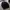 Coach canvas jacket black number photo 1