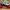 NIKE AIRMAX DN photo 3