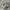 Nike Zoom Vomero 5 Photon Dusk Metallic Silver  photo 1