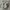 Nike Zoom Vomero 5 Photon Dusk Metallic Silver  photo 3