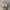 Nike Zoom Vomero 5 Photon Dusk Metallic Silver  photo 4
