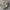 Nike Zoom Vomero 5 Photon Dusk Metallic Silver  photo 2