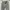 Acne Studios Denim Jeans Women Authentic photo 3