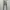 Acne Studios Denim Jeans Women Authentic