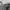 Acne Studios Denim Jeans Women Authentic photo 5