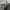 Acne Studios Denim Jeans Women Authentic photo 6