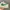 Sepatu Nike Air Force 1 Low  NAI-KE ‘White/Green’ photo 4