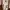 Vintage Luxury Prom Dress Wanita Cream