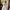 Vintage Luxury Prom dress Wanita cream photo 3