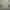 Kaos Kodak Second Vintage Rare Item photo 1
