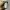 Kaos Kodak Second Vintage Rare Item photo 4
