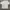 Kaos Kodak Second Vintage Rare Item photo 1