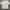 Kaos Kodak Second Vintage Rare Item