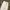 Denim Straight Pants Zara white photo 3