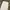 Denim Straight Pants Zara white photo 4