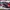New Balance Warped Runner BNIB  photo 6